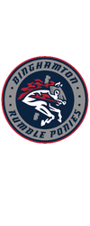 Binghamton Rumble Ponies website